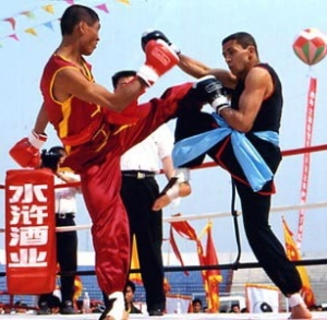Stage Combat Kung Fu free style||Dès 12 ans